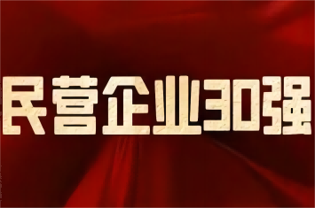 南阳民营企业及制造业30强榜单发布，PG游戏官网·(中国)官方网站集团荣登前三